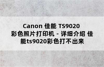 Canon 佳能 TS9020 彩色照片打印机 - 详细介绍 佳能ts9020彩色打不出来